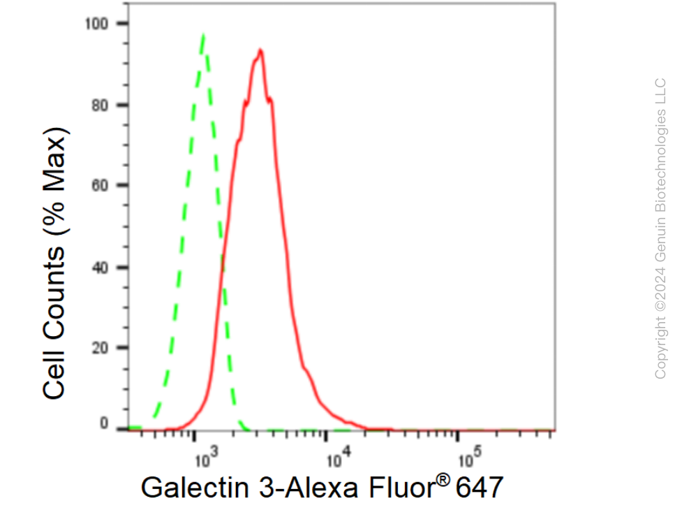 KD-Validated Anti-Galectin 3 Rabbit Monoclonal Antibody ABG1482