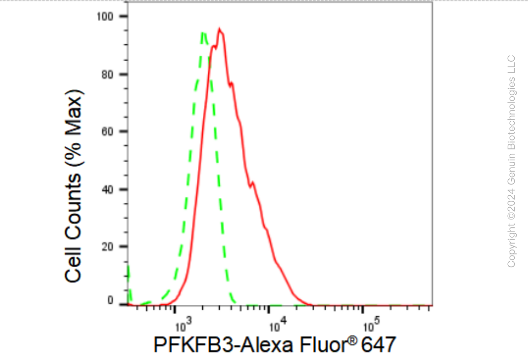 KD-Validated Anti-PFKFB3 Rabbit Monoclonal Antibody ABG1486