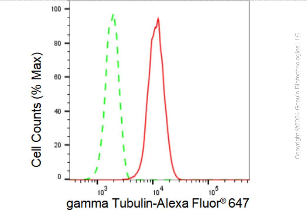 KD-Validated Anti-gamma Tubulin Rabbit Monoclonal Antibody ABG1490