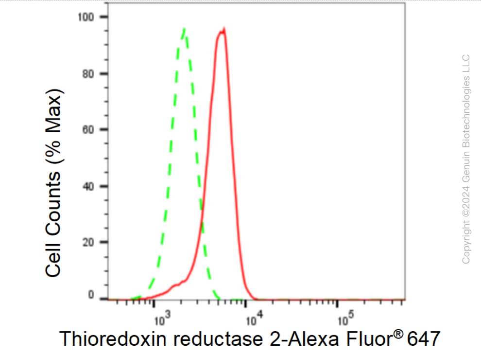 KD-Validated Anti-Thioredoxin reductase 2 Rabbit Monoclonal Antibody ABG1491