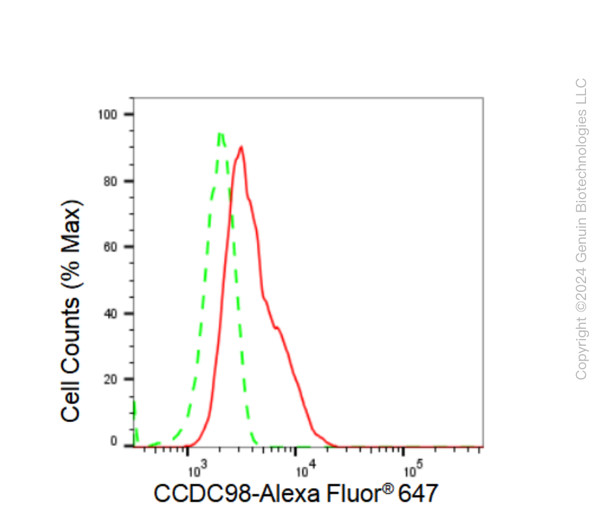 KD-Validated Anti-CCDC98 Rabbit Monoclonal Antibody ABG1495