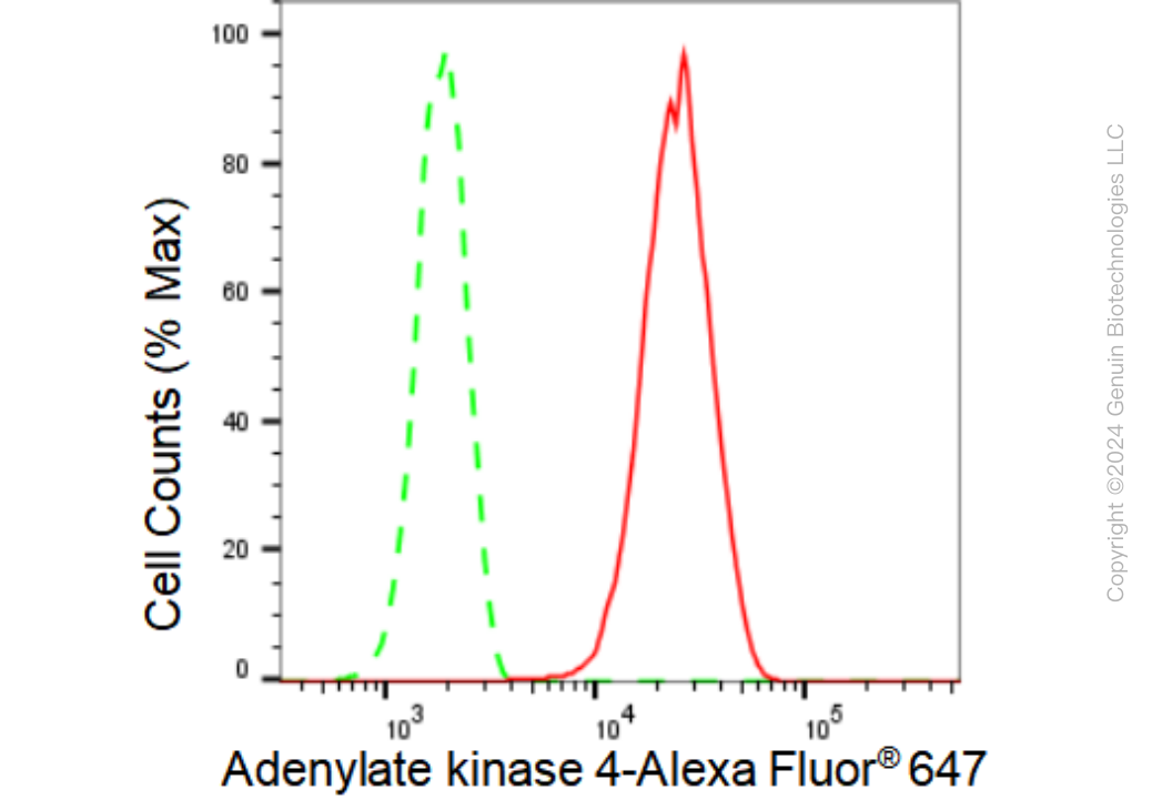 KD-Validated Anti-Adenylate kinase 4 Rabbit Monoclonal Antibody ABG1496