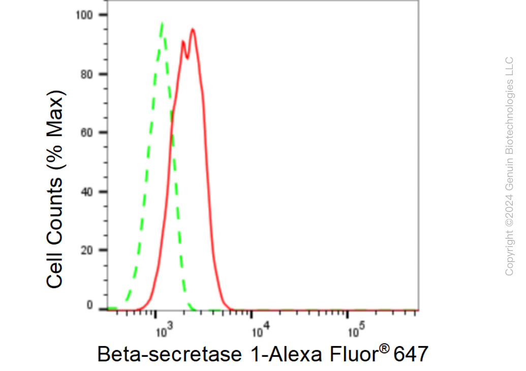 KD-Validated Anti-Beta-secretase 1 Rabbit Monoclonal Antibody ABG1497