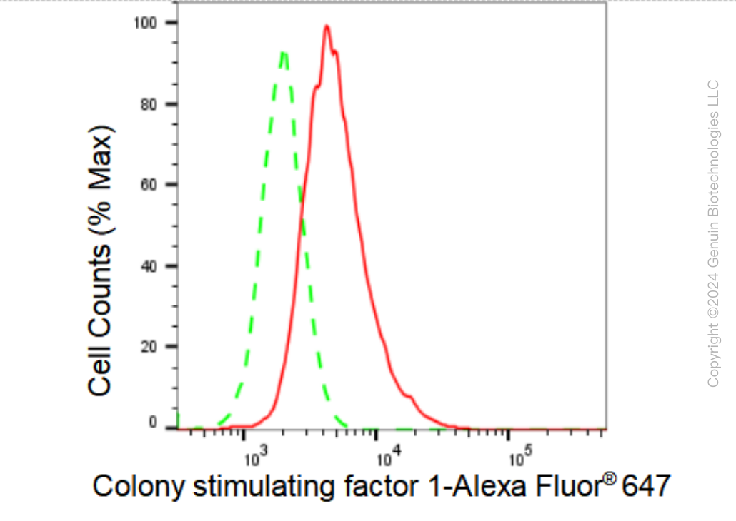 KD-Validated Anti-Colony Stimulating Factor 1 Rabbit Monoclonal Antibody ABG1499