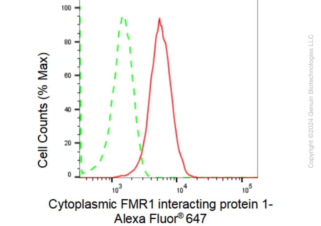 KD-Validated Anti-Cytoplasmic FMR1 interacting protein 1 Rabbit Monoclonal Antibody ABG1501