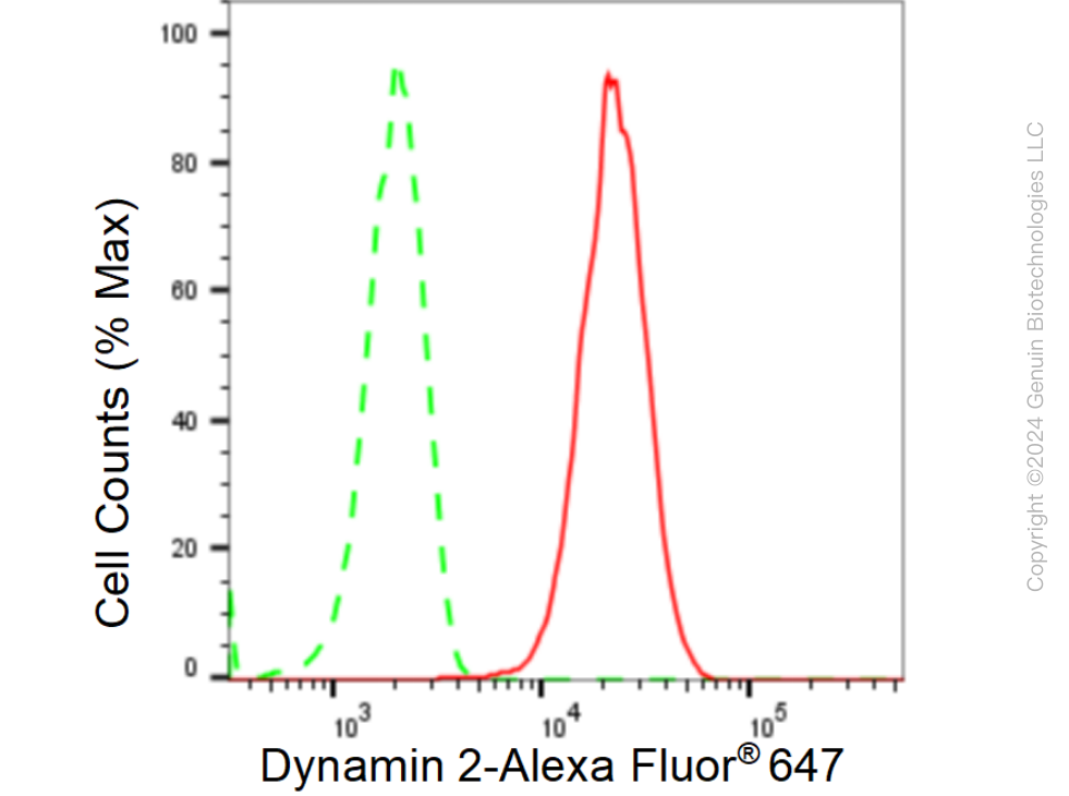 KD-Validated Anti-Dynamin 2 Rabbit Monoclonal Antibody ABG1504