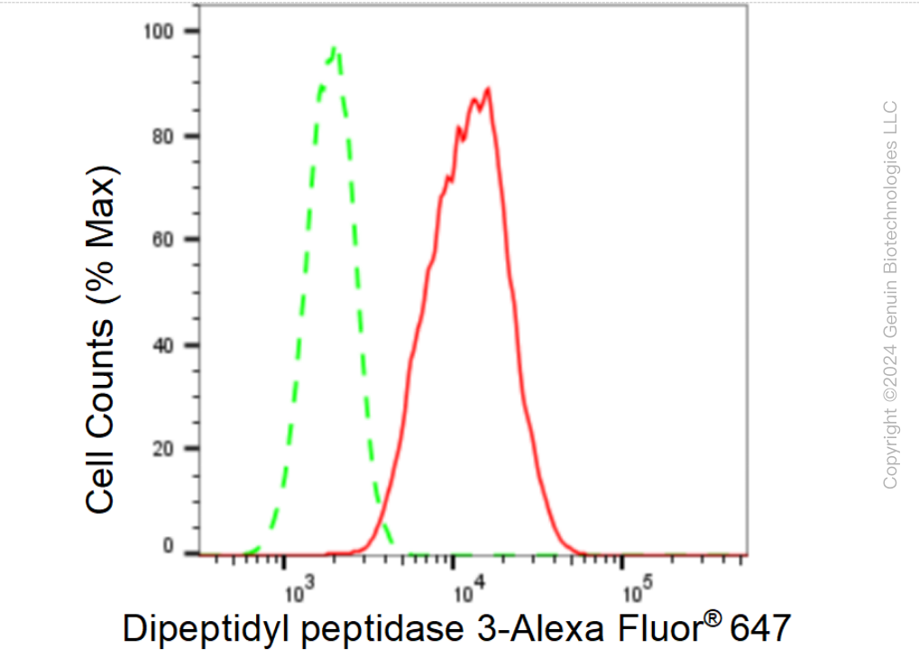 KD-Validated Anti-Dipeptidyl peptidase 3 Rabbit Monoclonal Antibody ABG1505