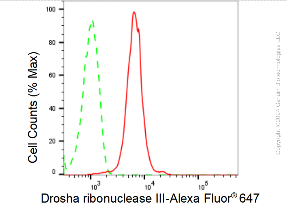 KD-Validated Anti-Drosha ribonuclease III Rabbit Monoclonal Antibody ABG1506