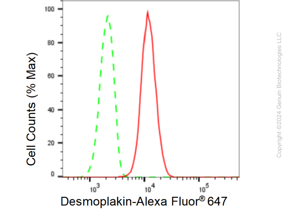 KD-Validated Anti-Desmoplakin Rabbit Monoclonal Antibody ABG1509