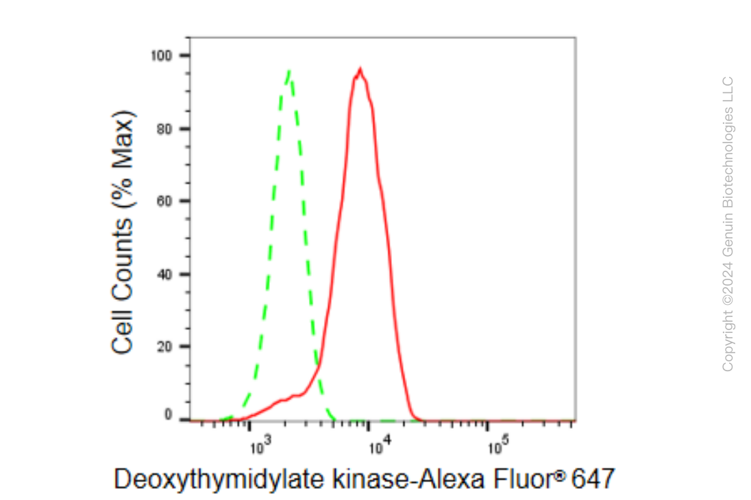 KD-Validated Anti-DTYMK Rabbit Monoclonal Antibody ABG1510