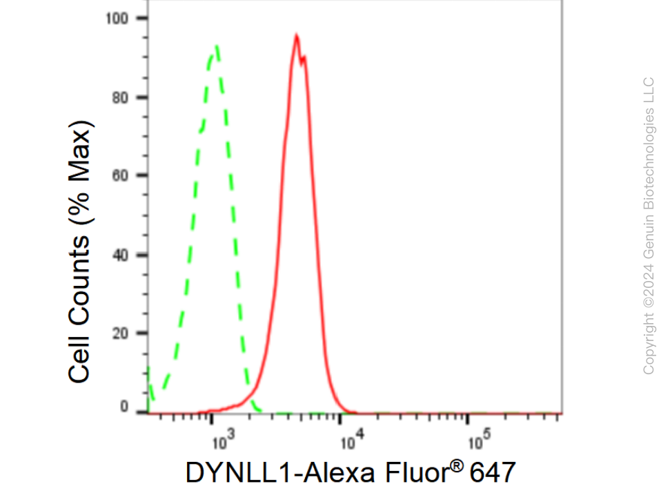 KD-Validated Anti-DYNLL1 Rabbit Monoclonal Antibody ABG1512