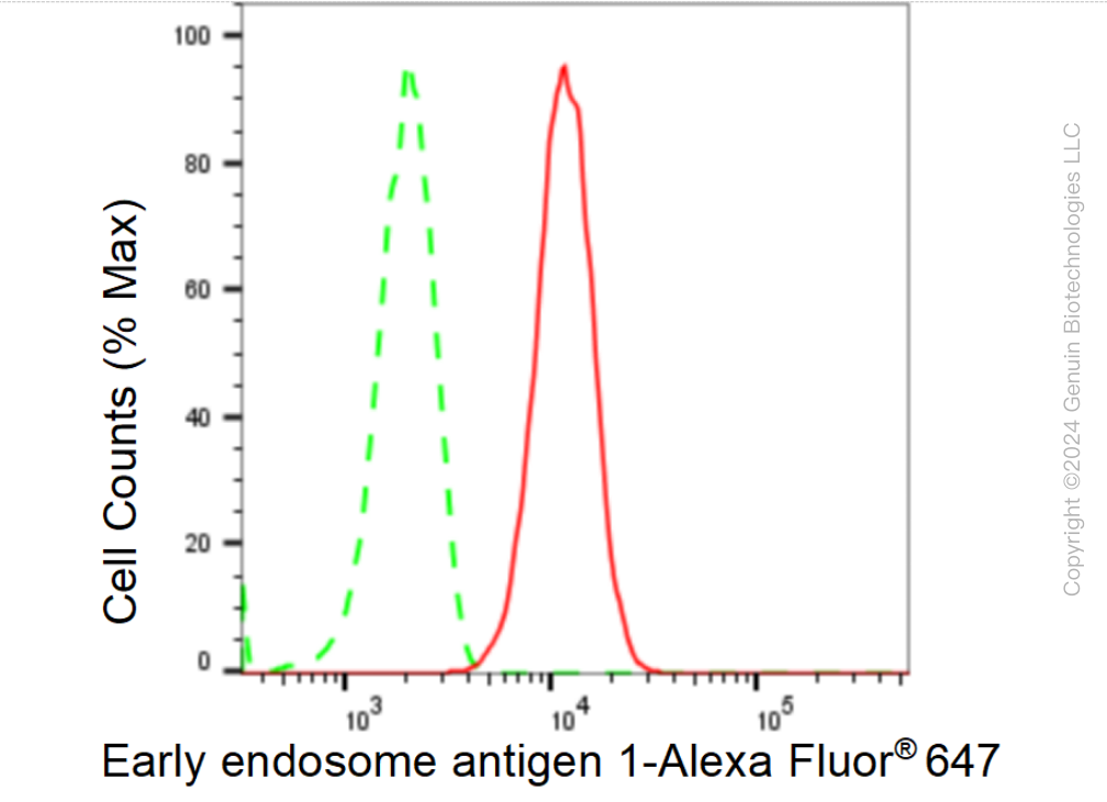 KD-Validated Anti-Early endosome antigen 1 Rabbit Monoclonal Antibody ABG1513