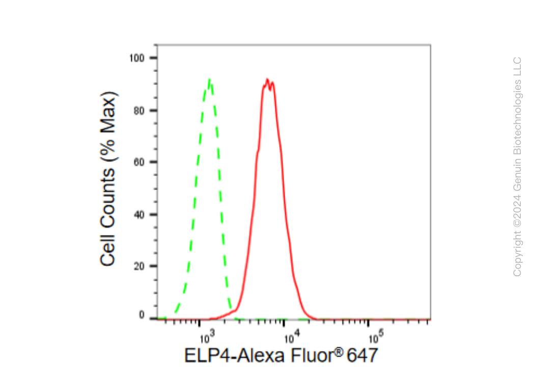 KD-Validated Anti-ELP4 Rabbit Monoclonal Antibody ABG1516