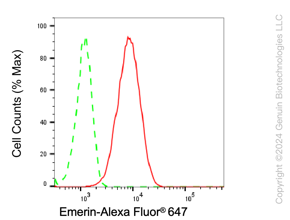 KD-Validated Anti-Emerin Rabbit Monoclonal Antibody ABG1517