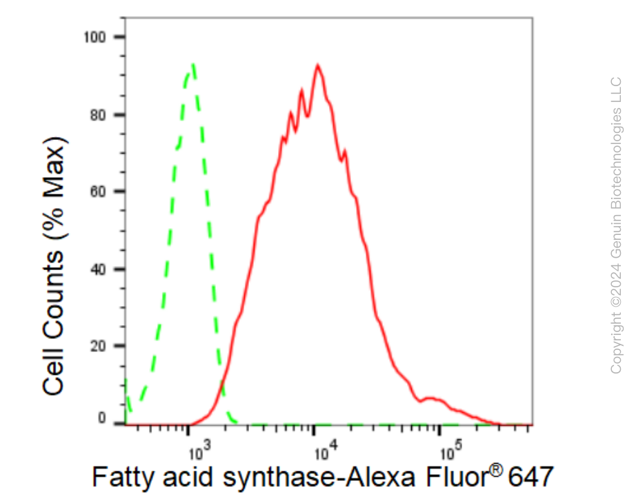 KD-Validated Anti-Fatty acid synthase Rabbit Monoclonal Antibody ABG1520