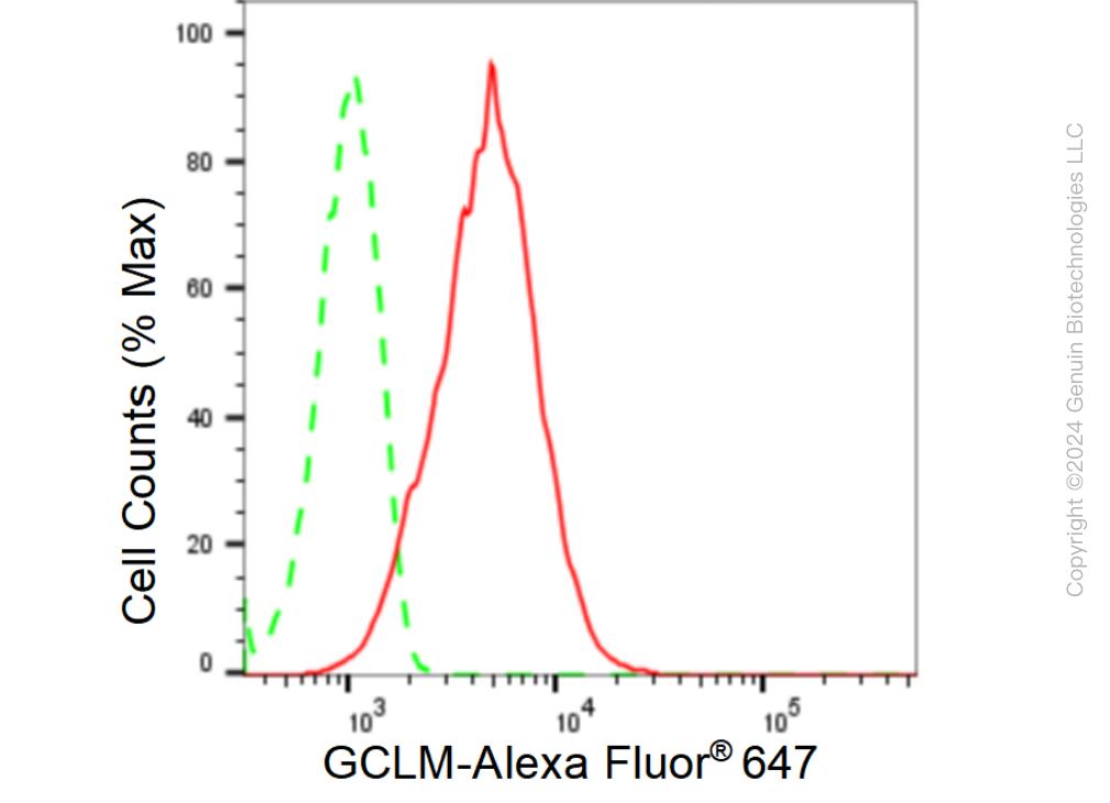 KD-Validated Anti-GCLM Rabbit Monoclonal Antibody ABG1522