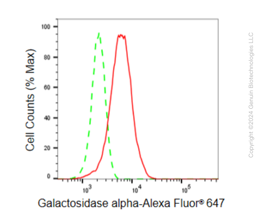 KD-Validated Anti-Galactosidase alpha Rabbit Monoclonal Antibody ABG1523