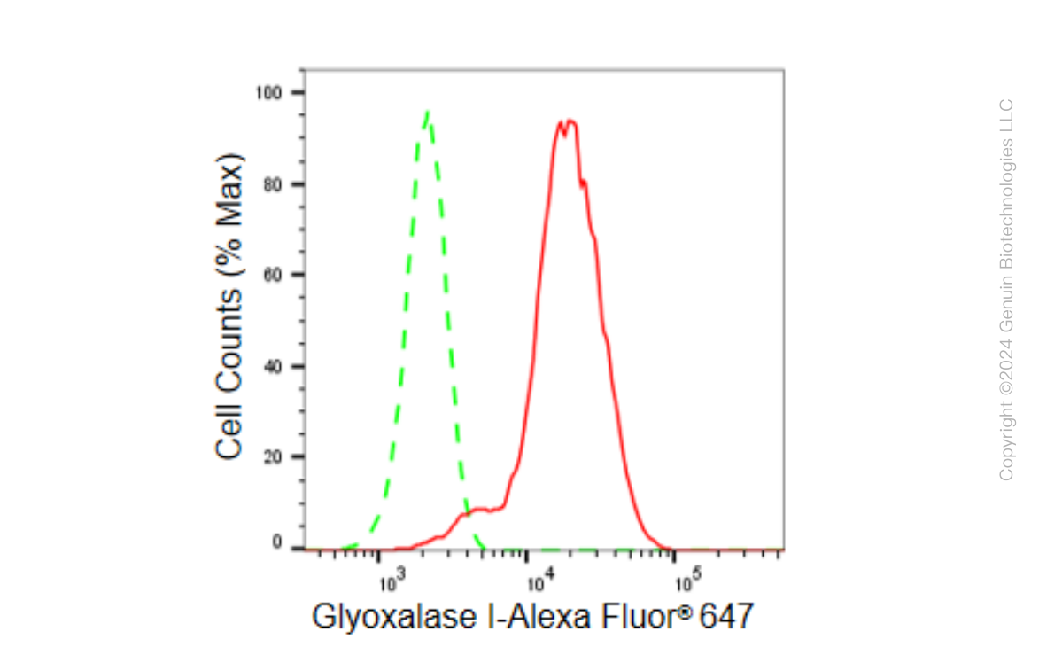 KD-Validated Anti-Glyoxalase I Rabbit Monoclonal Antibody ABG1524