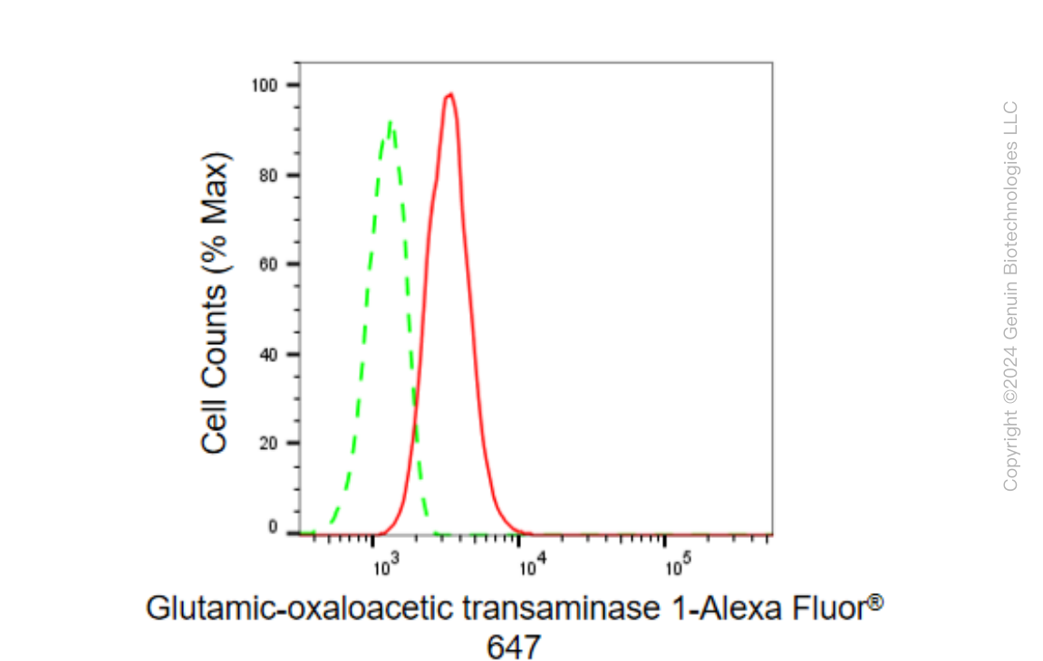 KD-Validated Anti-Glutamic-oxaloacetic transaminase 1 Rabbit Monoclonal Antibody ABG1528