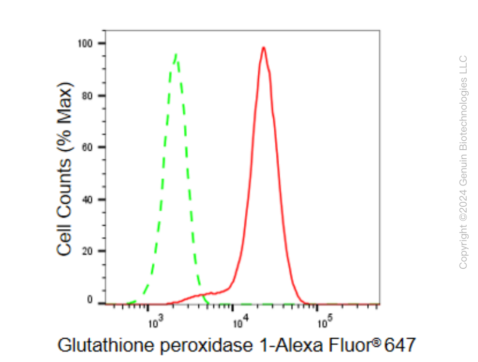 KD-Validated Anti-GPX1 Rabbit Monoclonal Antibody ABG1530