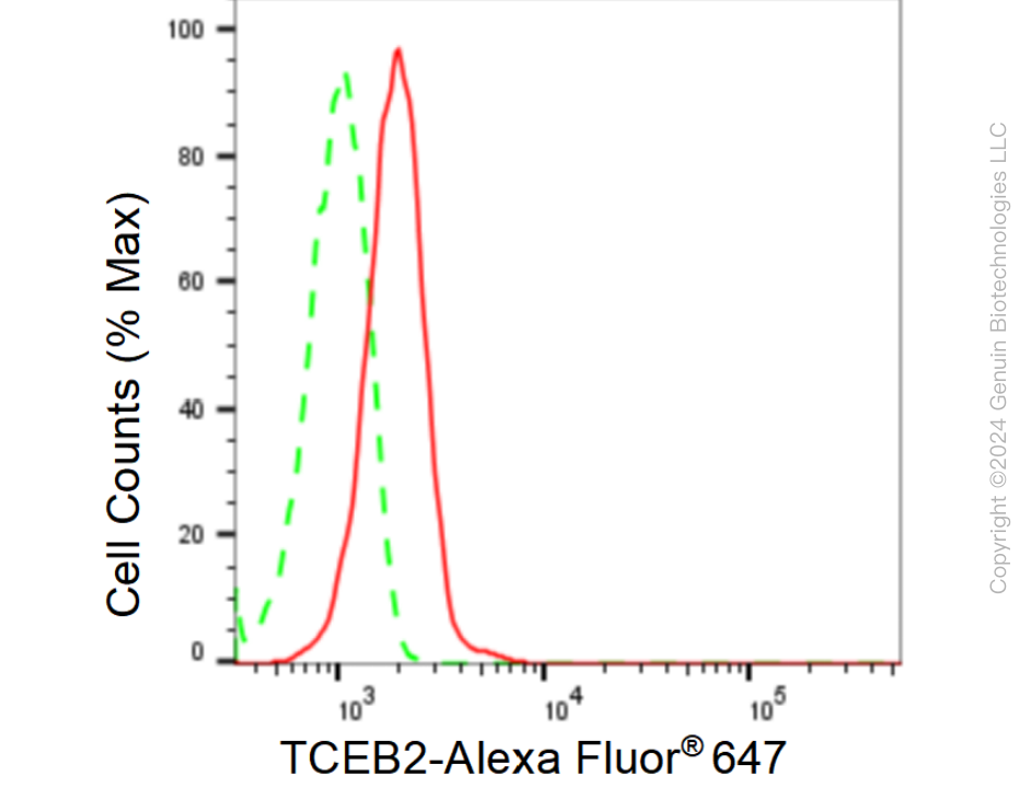KD-Validated Anti-TCEB2 Rabbit Monoclonal Antibody ABG1532
