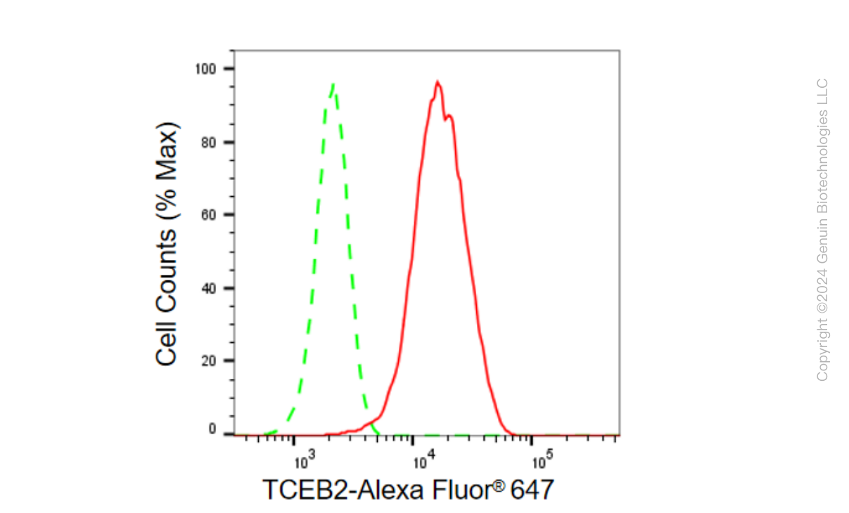 KD-Validated Anti-TCEB2 Rabbit Monoclonal Antibody ABG1533