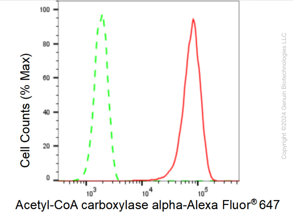 KD-Validated Anti-Acetyl-CoA carboxylase alpha Rabbit Monoclonal Antibody ABG1536