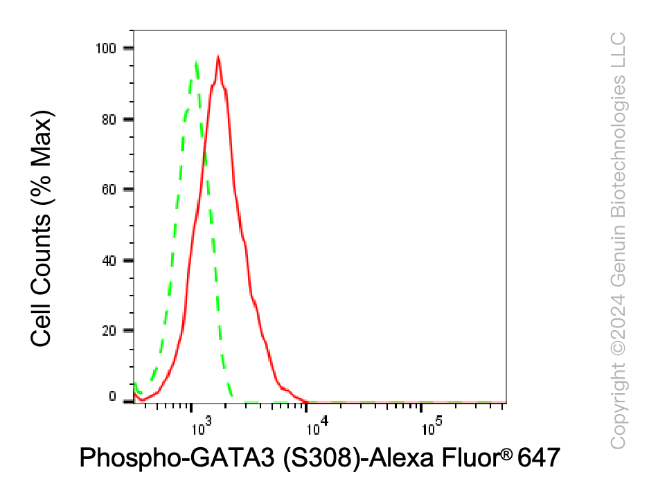 KD-Validated Anti-Phospho-GATA3(S308) Rabbit Monoclonal Antibody ABG1537