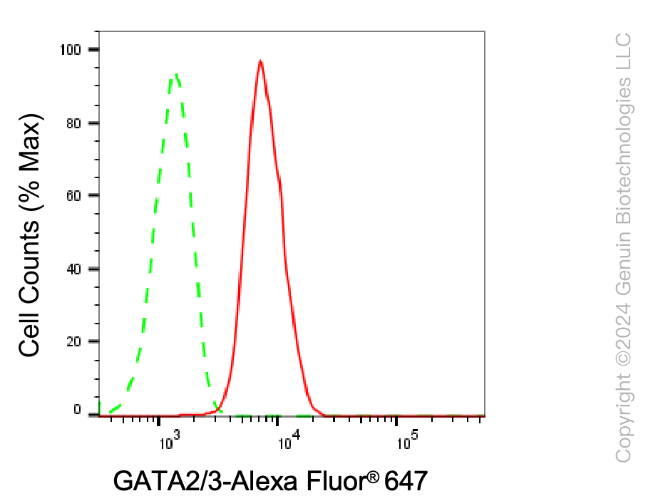 KD-Validated Anti-GATA2/GATA3 Rabbit Monoclonal Antibody ABG1538