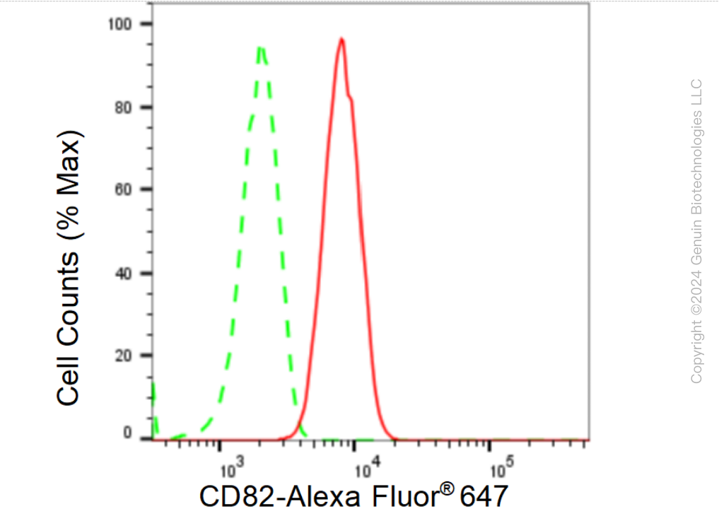 KD-Validated Anti-CD82 Rabbit Monoclonal Antibody ABG1541