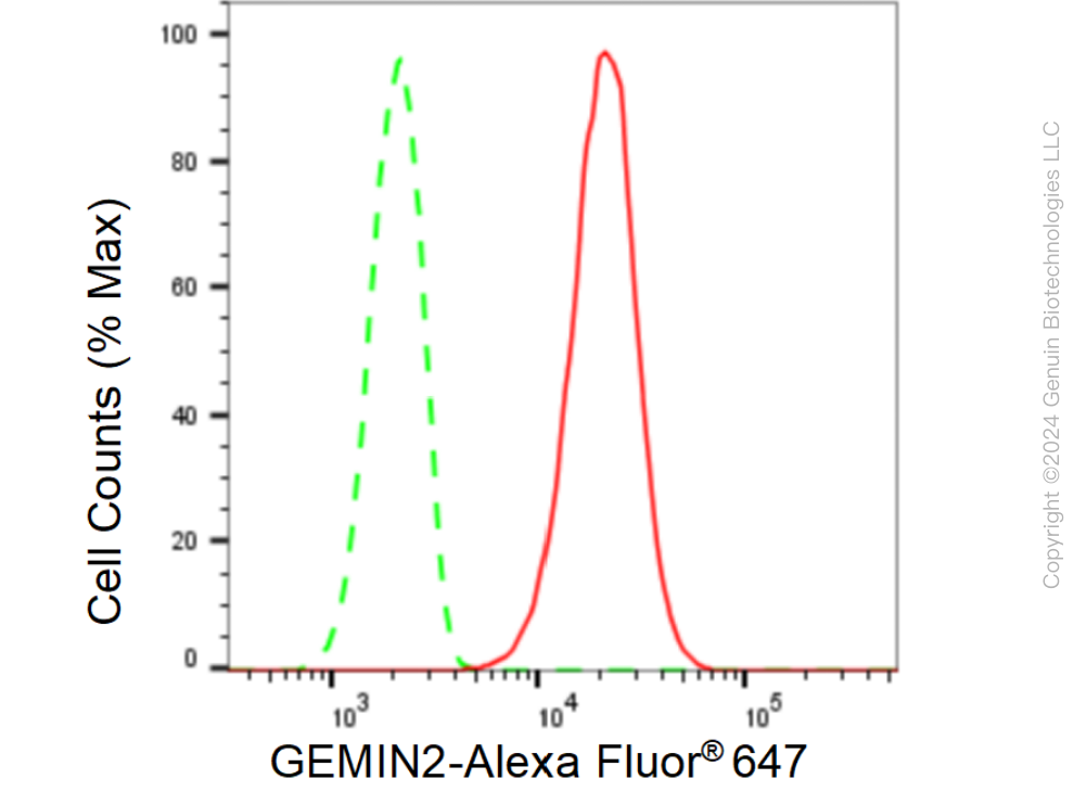 KD-Validated Anti-GEMIN2 Rabbit Monoclonal Antibody ABG1543