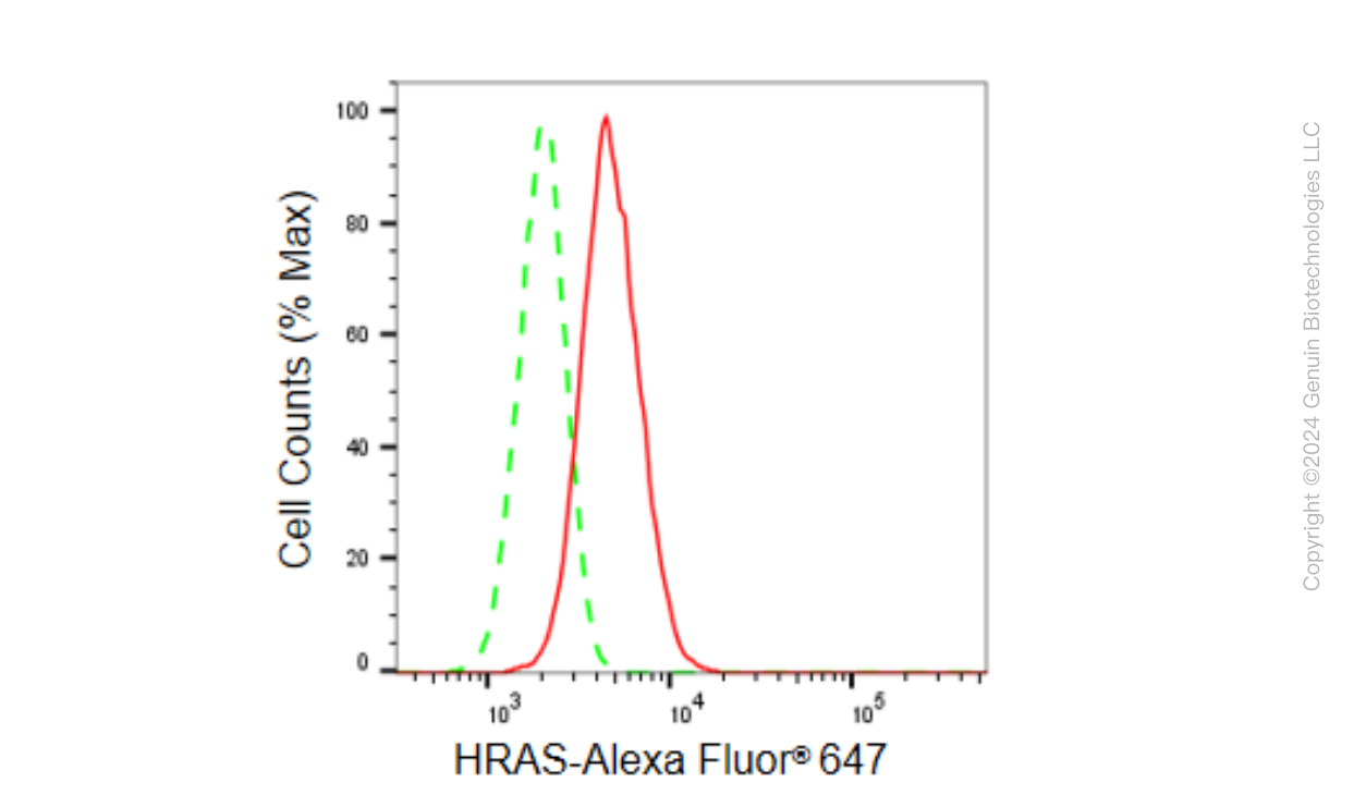 KD-Validated Anti-HRAS Rabbit Monoclonal Antibody ABG1548