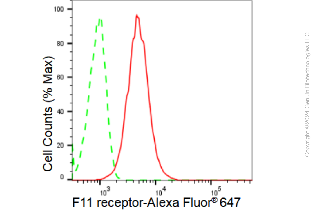 KD-Validated Anti-F11 receptor Rabbit Monoclonal Antibody ABG1549