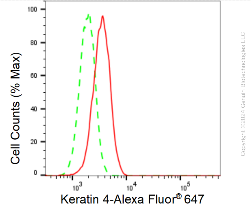 KD-Validated Anti-Keratin 4 Rabbit Monoclonal Antibody ABG1551