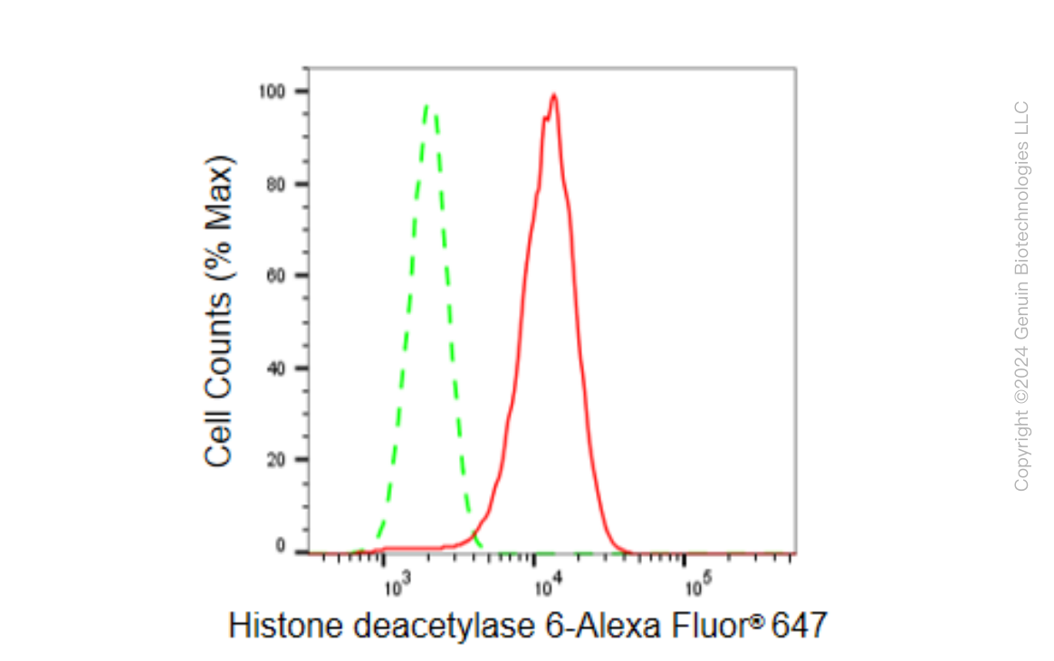 KD-Validated Anti-Histone deacetylase 6 Rabbit Monoclonal Antibody ABG1552