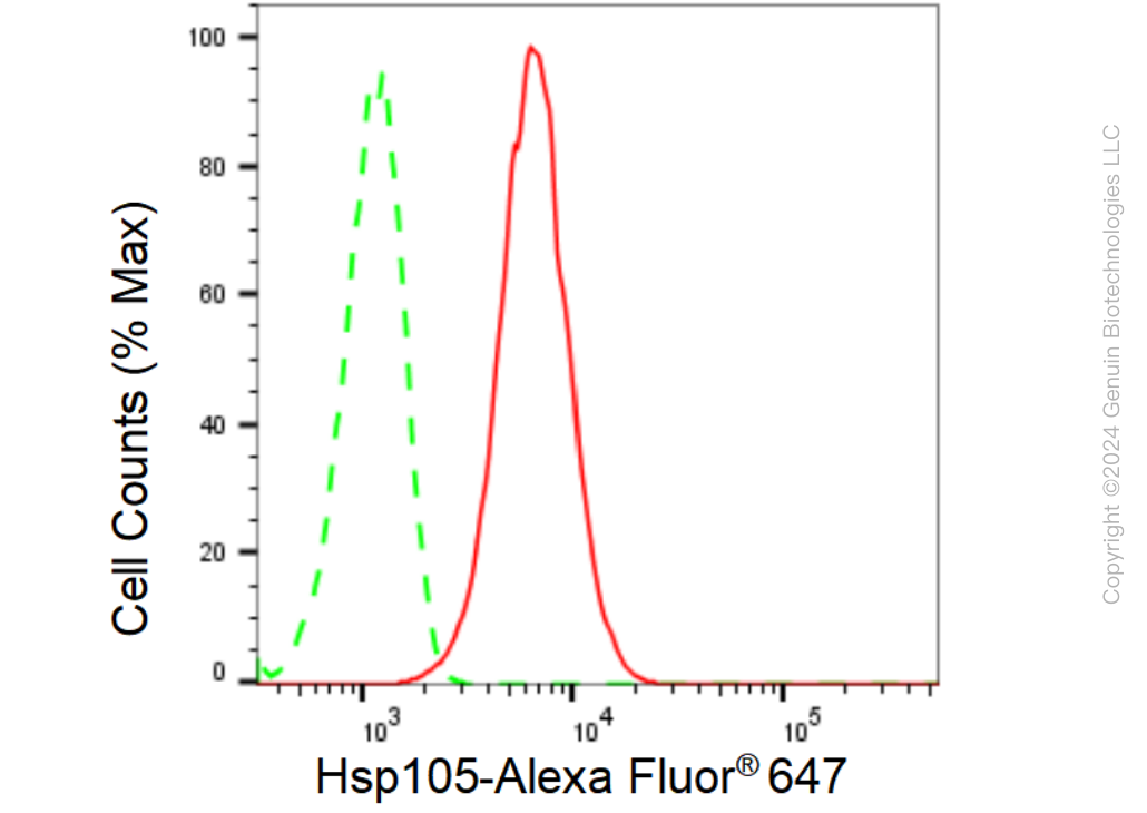 KD-Validated Anti-Hsp105 Rabbit Monoclonal Antibody ABG1554