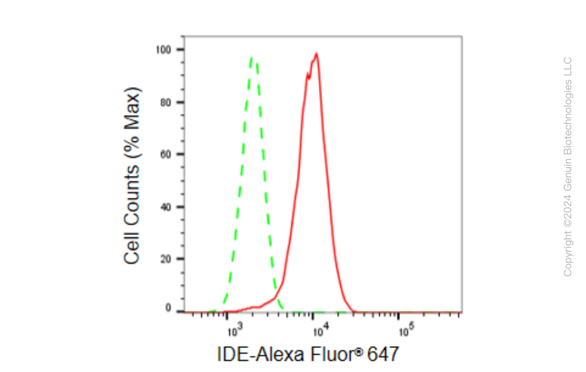 KD-Validated Anti-IDE Rabbit Monoclonal Antibody ABG1556
