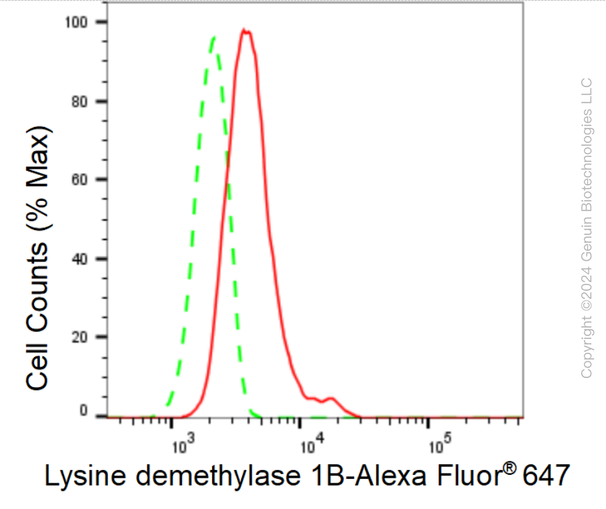 KD-Validated Anti-Lysine demethylase 1B Rabbit Monoclonal Antibody ABG1557