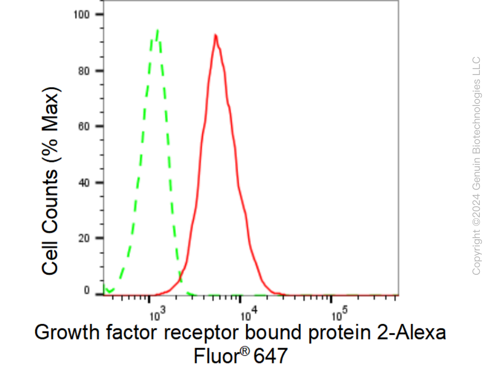 KD-Validated Anti-Growth factor receptor bound protein 2 Rabbit Monoclonal Antibody ABG1558