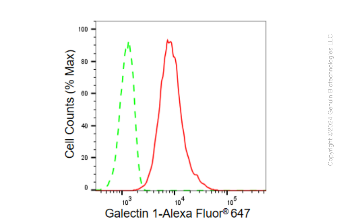 KD-Validated Anti-Galectin 1 Rabbit Monoclonal Antibody ABG1559