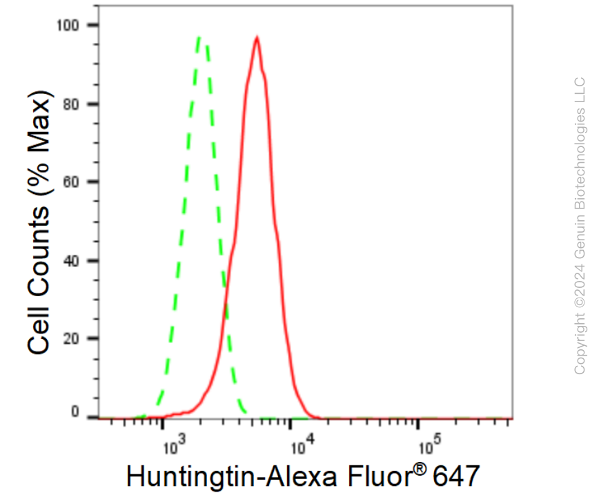 KD-Validated Anti-Huntingtin Rabbit Monoclonal Antibody ABG1560