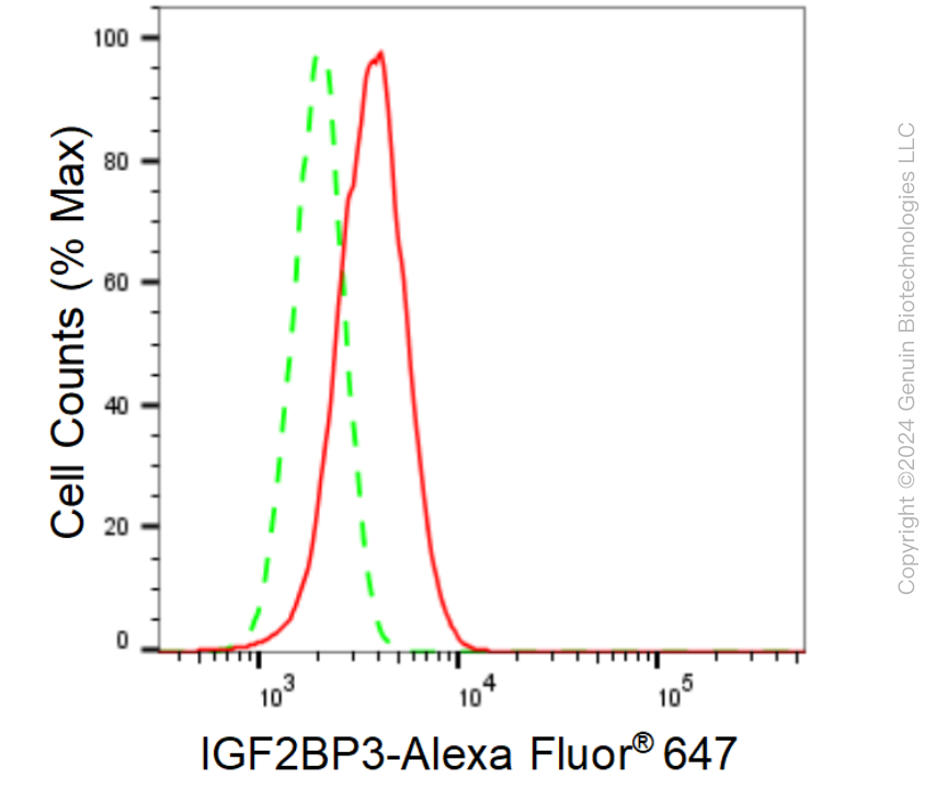 KD-Validated Anti-IGF2BP3 Rabbit Monoclonal Antibody ABG1562