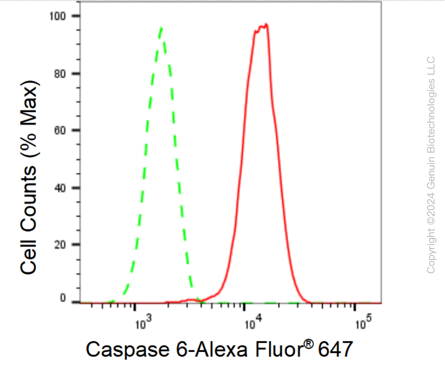 KD-Validated Anti-Caspase 6 Rabbit Monoclonal Antibody ABG1563