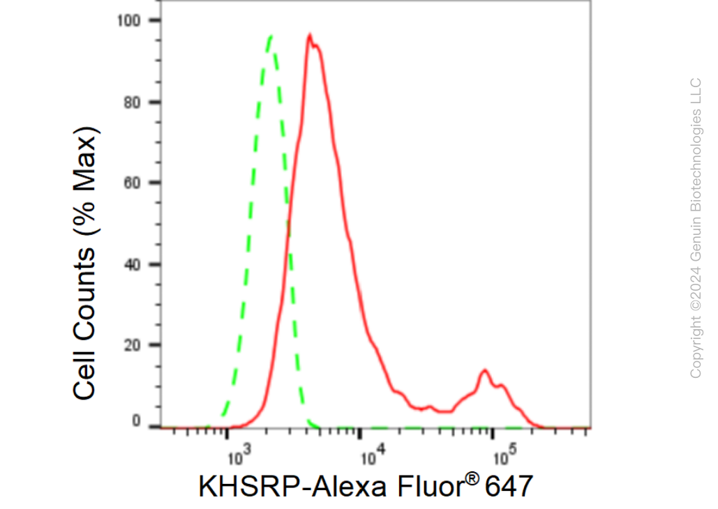 KD-Validated Anti-KHSRP Rabbit Monoclonal Antibody ABG1566