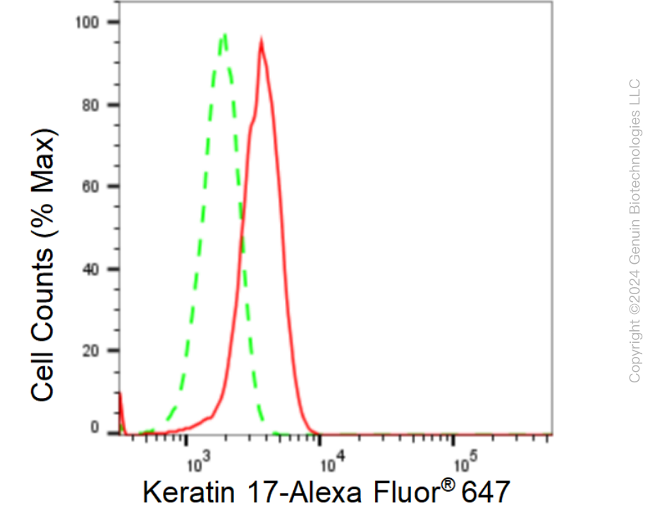 KD-Validated Anti-Keratin 17 Rabbit Monoclonal Antibody ABG1569