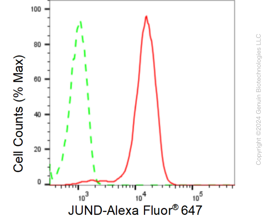 KD-Validated Anti-JunD Rabbit Monoclonal Antibody ABG1571