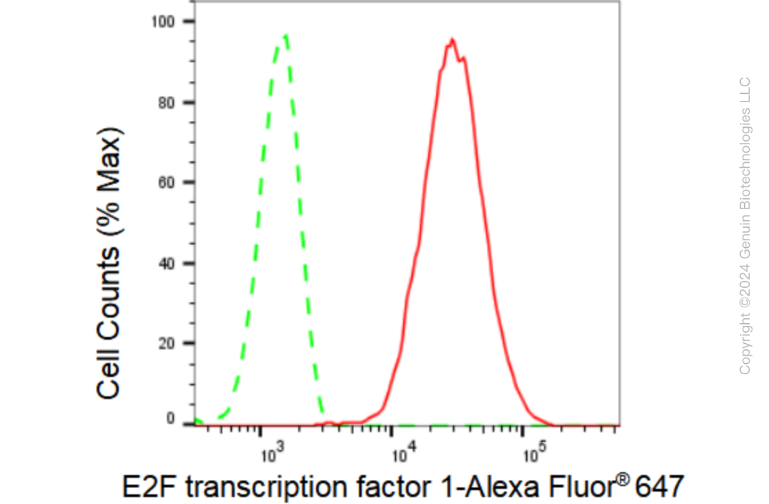 KD-Validated Anti-E2F transcription factor 1 Rabbit Monoclonal Antibody ABG1572
