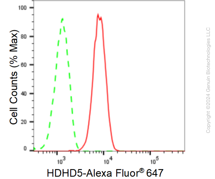 KD-Validated Anti-HDHD5 Rabbit Monoclonal Antibody ABG1574