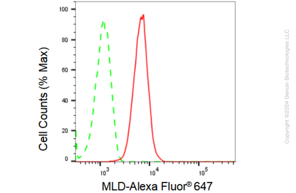 KD-Validated Anti-MLD Rabbit Monoclonal Antibody ABG1575
