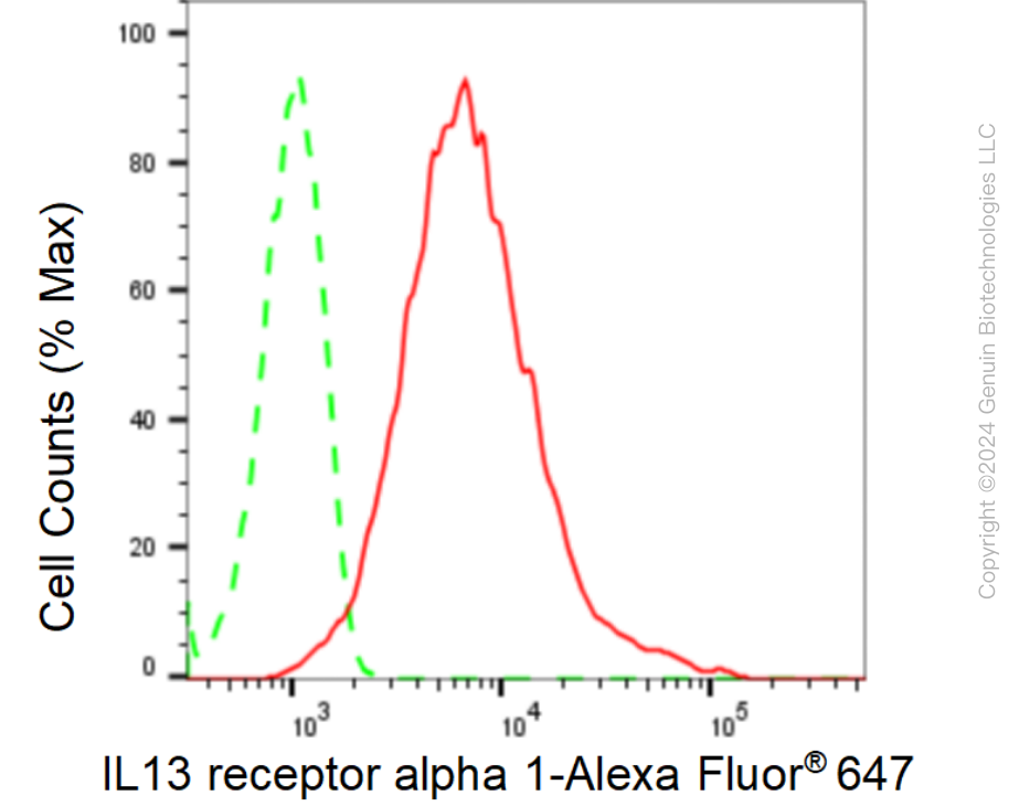 KD-Validated Anti-IL13 receptor alpha 1 Rabbit Monoclonal Antibody ABG1576